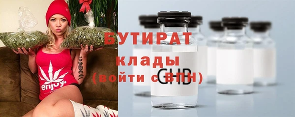 индика Балахна