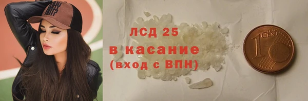 индика Балахна