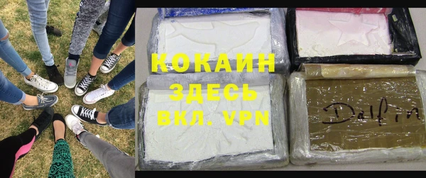индика Балахна